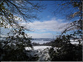 DSCF8077