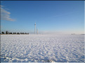 DSCF8082