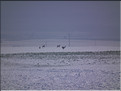 DSCF8182