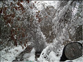 DSCF8184