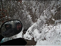 DSCF8185