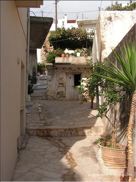 0949Chamezi (25).JPG