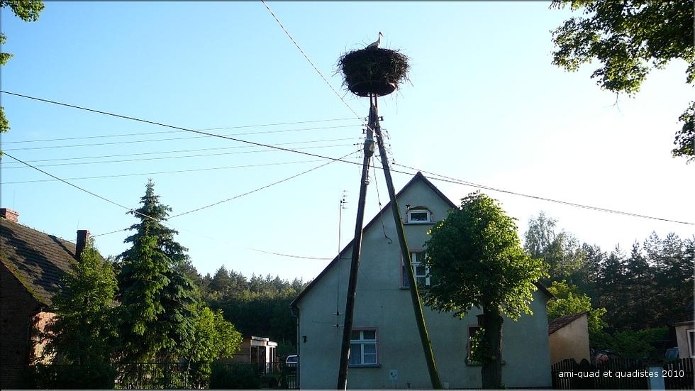 Pana100530 (100).JPG