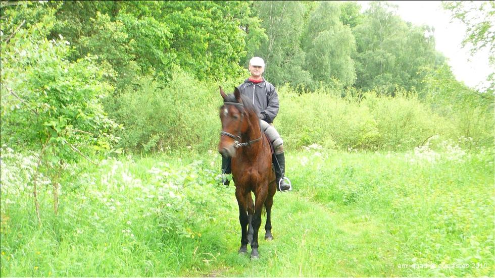 Pana100531 (131).JPG