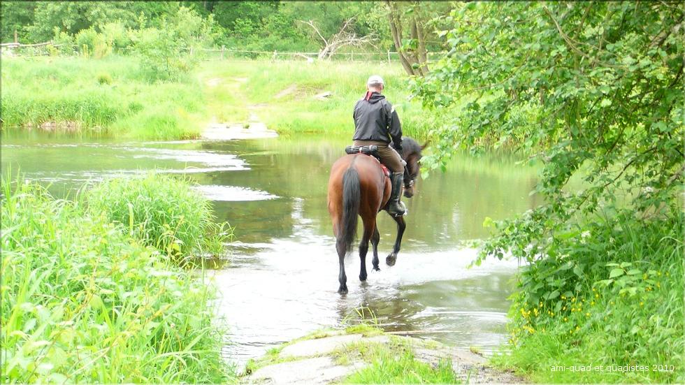 Pana100531 (132).JPG