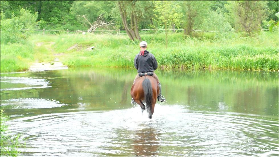 Pana100531 (133).JPG