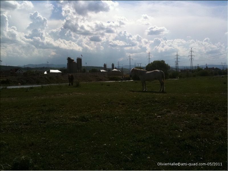 roumanie 315_redimensionner