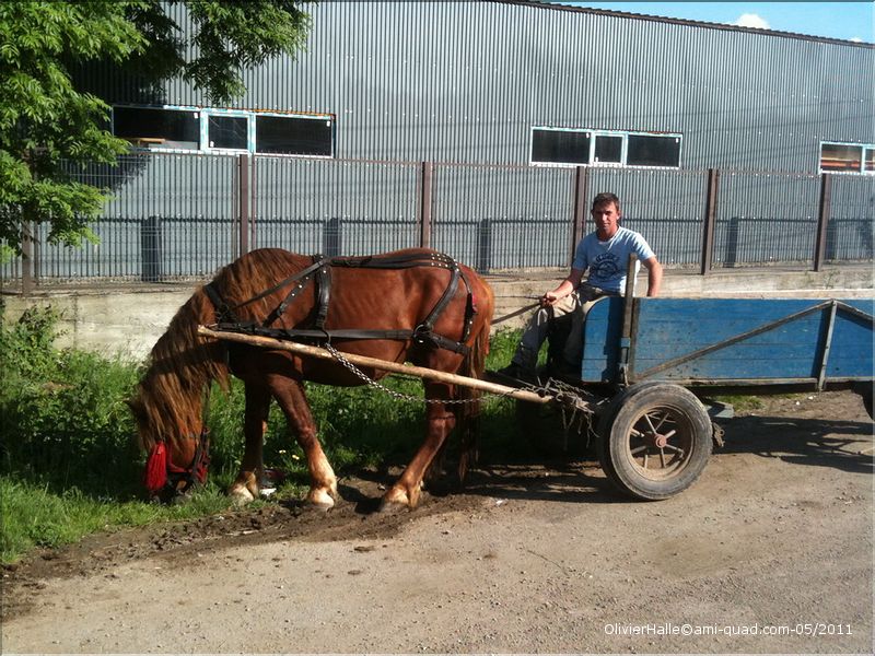 roumanie 334_redimensionner