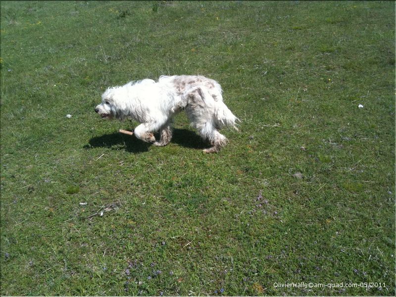 roumanie 347_redimensionner