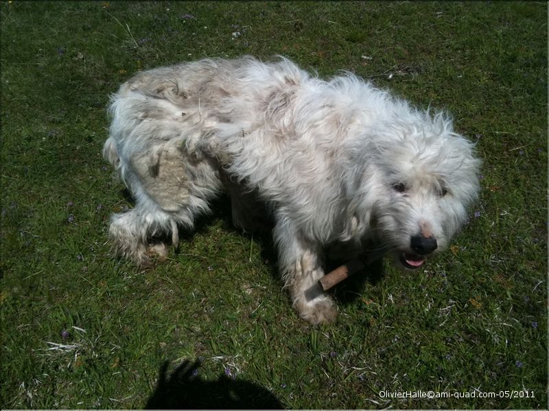 roumanie 355_redimensionner