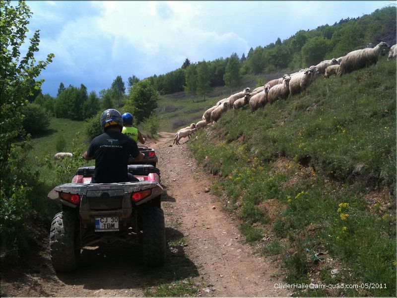 roumanie 439_redimensionner