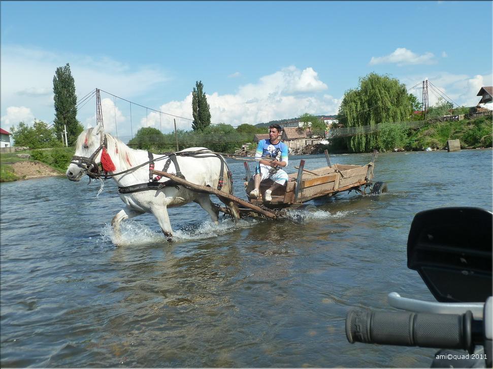 P1030293_redimensionner