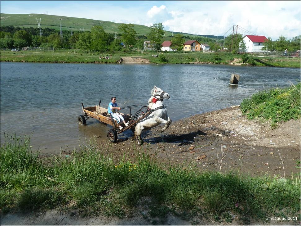 P1030297_redimensionner