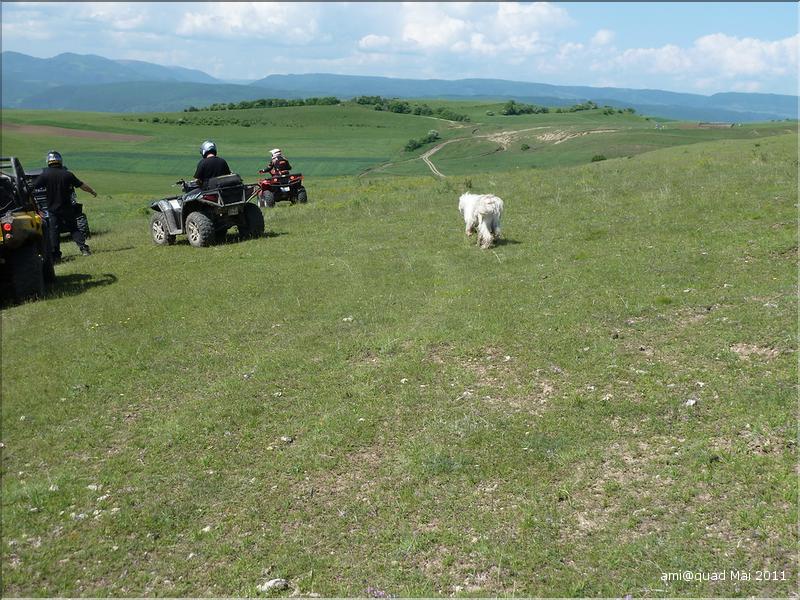 P1030374_redimensionner