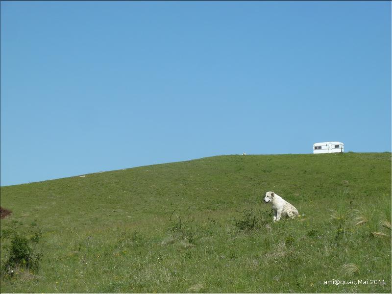 P1030376_redimensionner