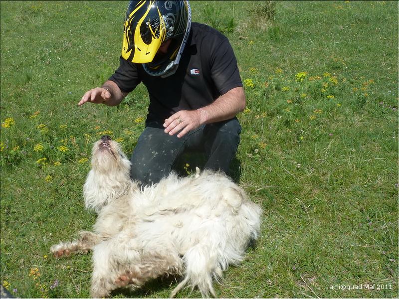 P1030379_redimensionner