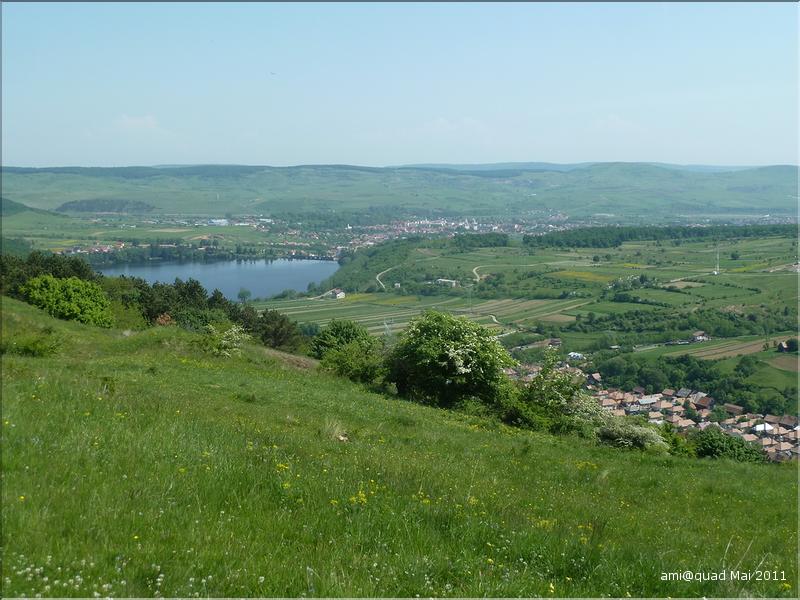 P1030386_redimensionner