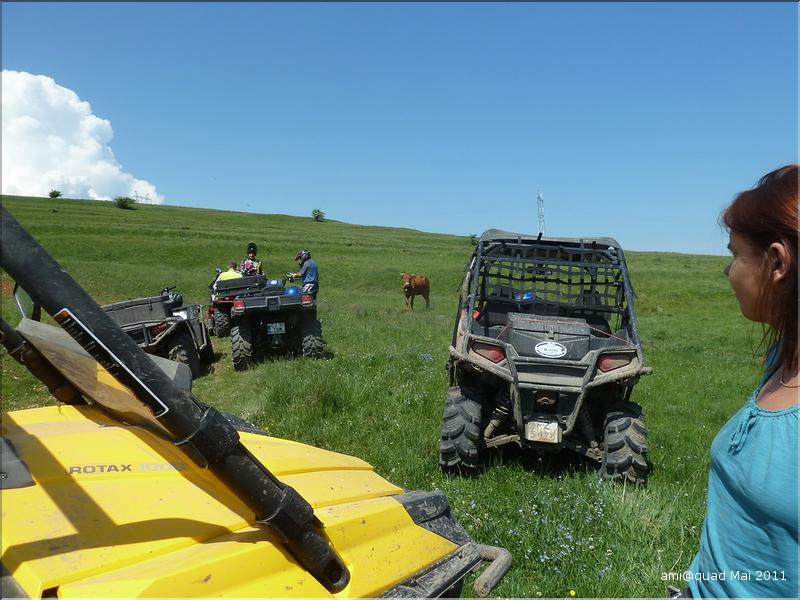 P1030394_redimensionner