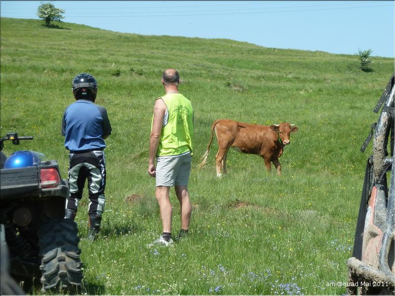 P1030395_redimensionner