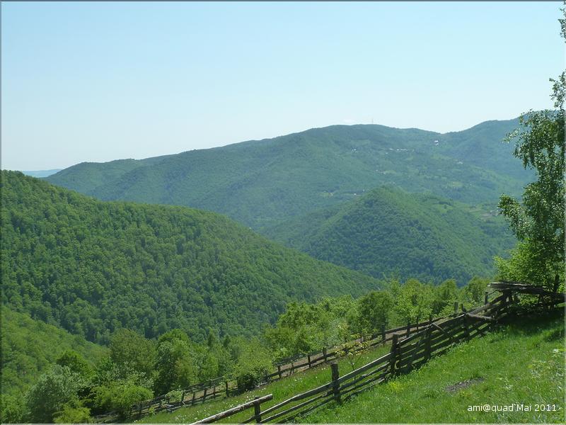 P1030396_redimensionner