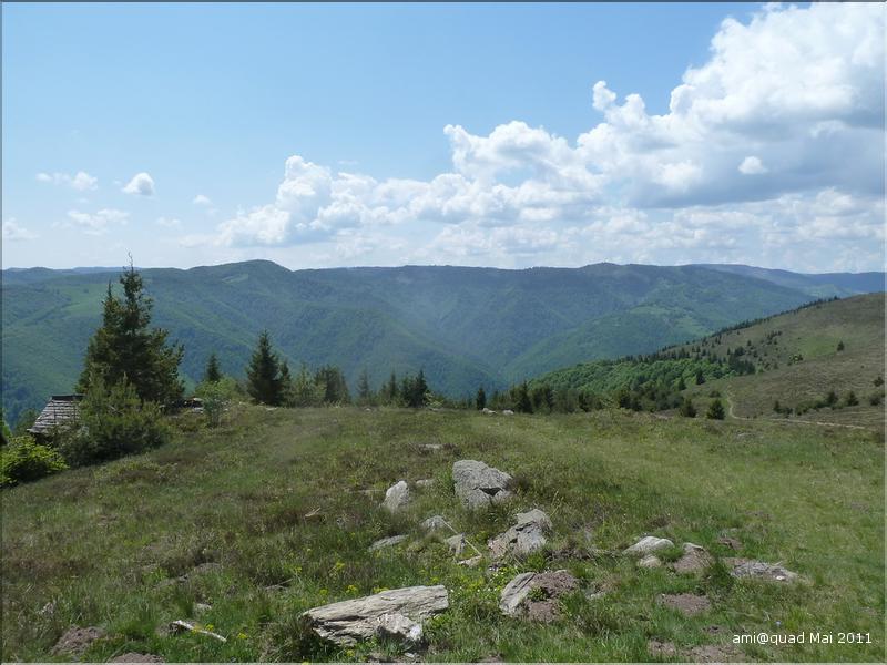 P1030397_redimensionner