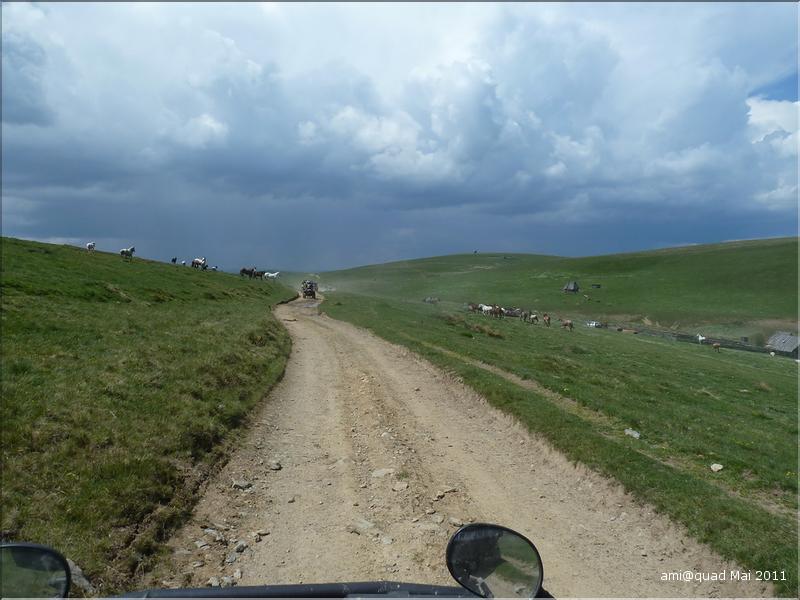 P1030398_redimensionner