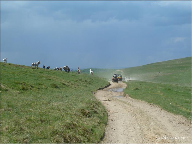 P1030399_redimensionner