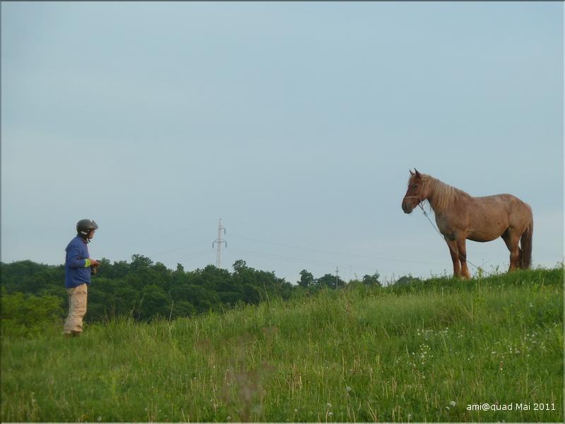 P1030484_redimensionner