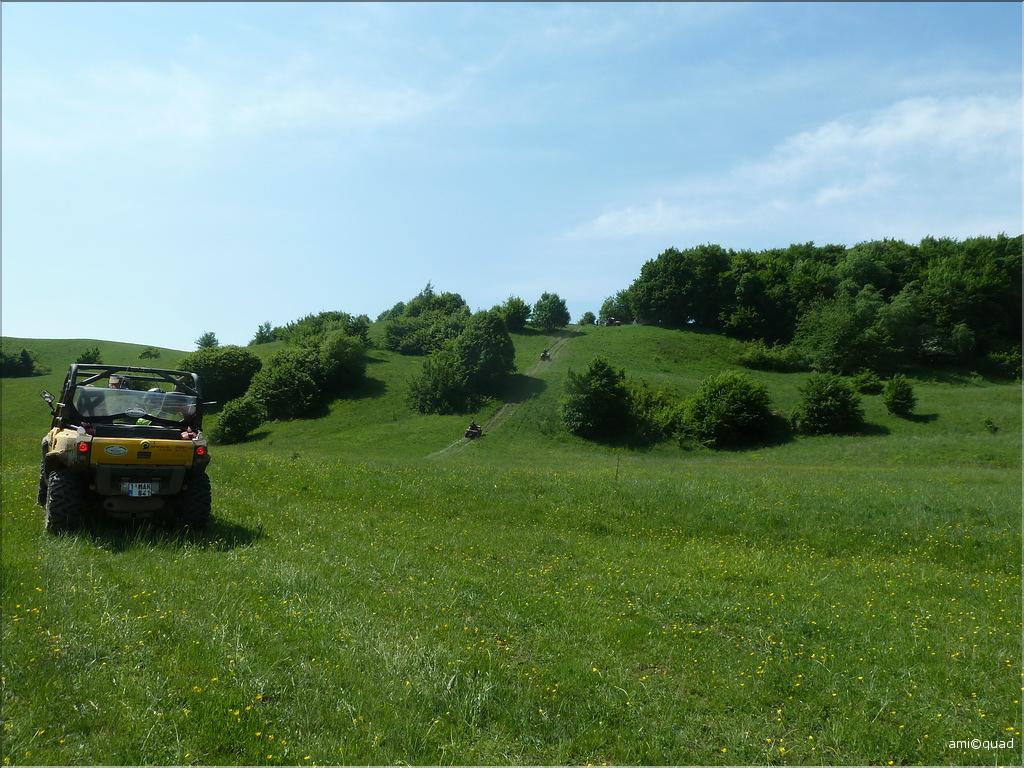 P1030506_redimensionner