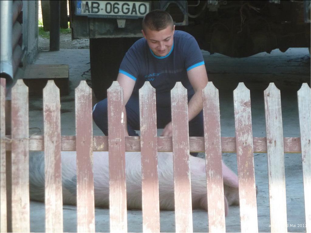 P1030563_redimensionner_exposure