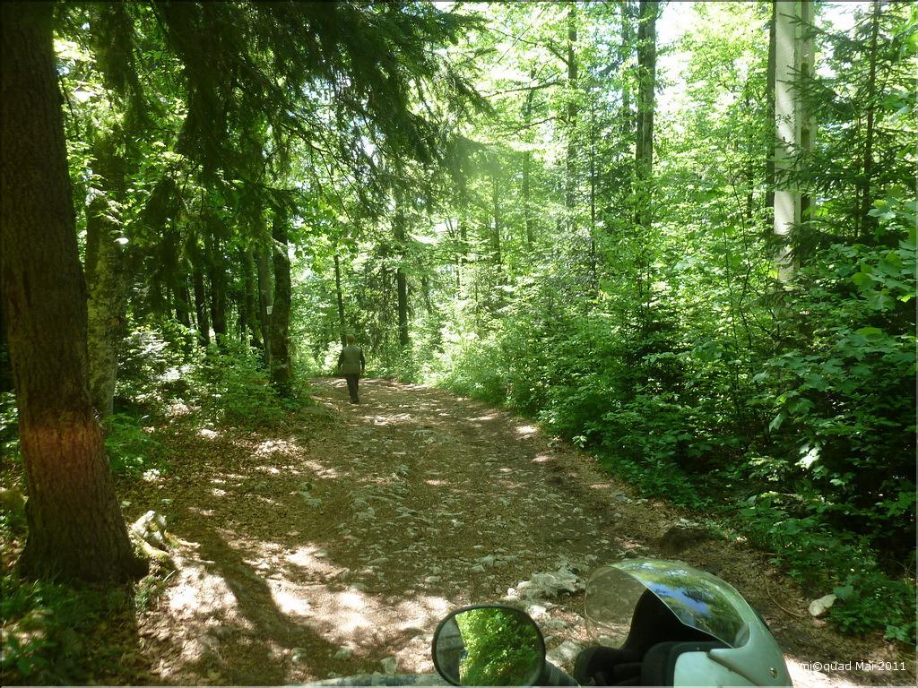 P1030578_redimensionner_exposure