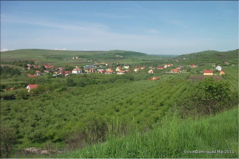 Sylvie21Mai_12_redimensionner