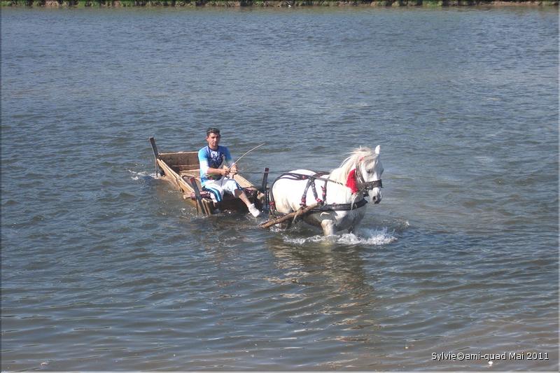 Sylvie22Mai_13_redimensionner