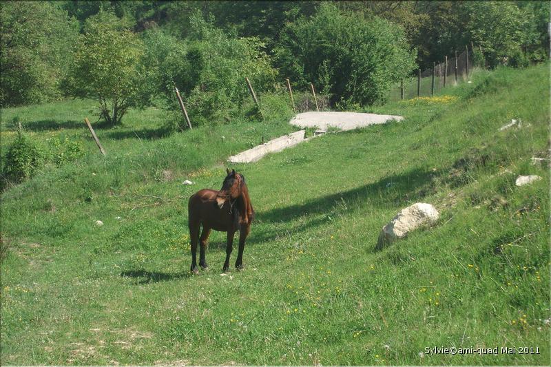 Sylvie22Mai_19_redimensionner