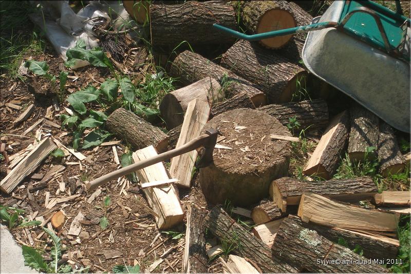 Sylvie28Mai_redimensionner