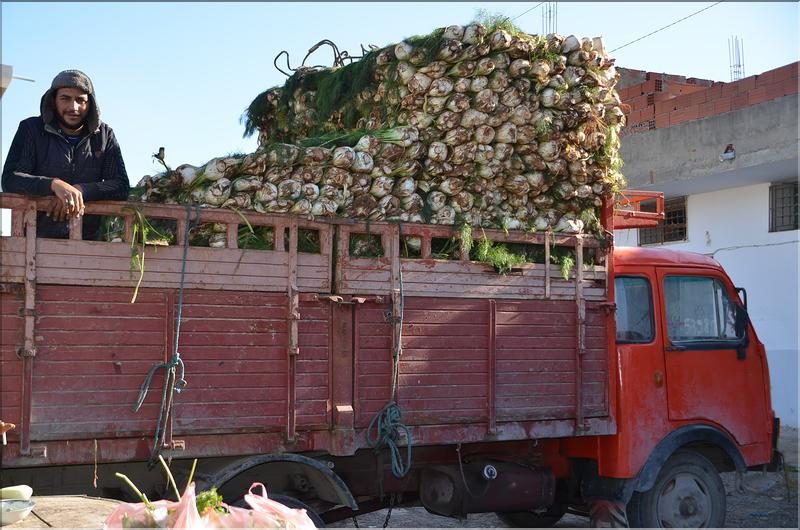 DSC_4892 march&eacute; cot&eacute; Fenouils
