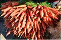 DSC_4896 marché coté carottes